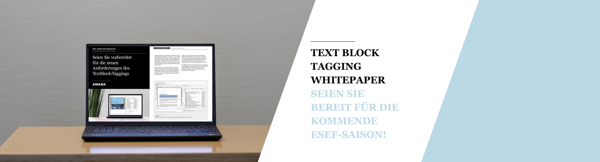 ESEF Textblock-Tagging mit dem AMANA XBRL Tagger